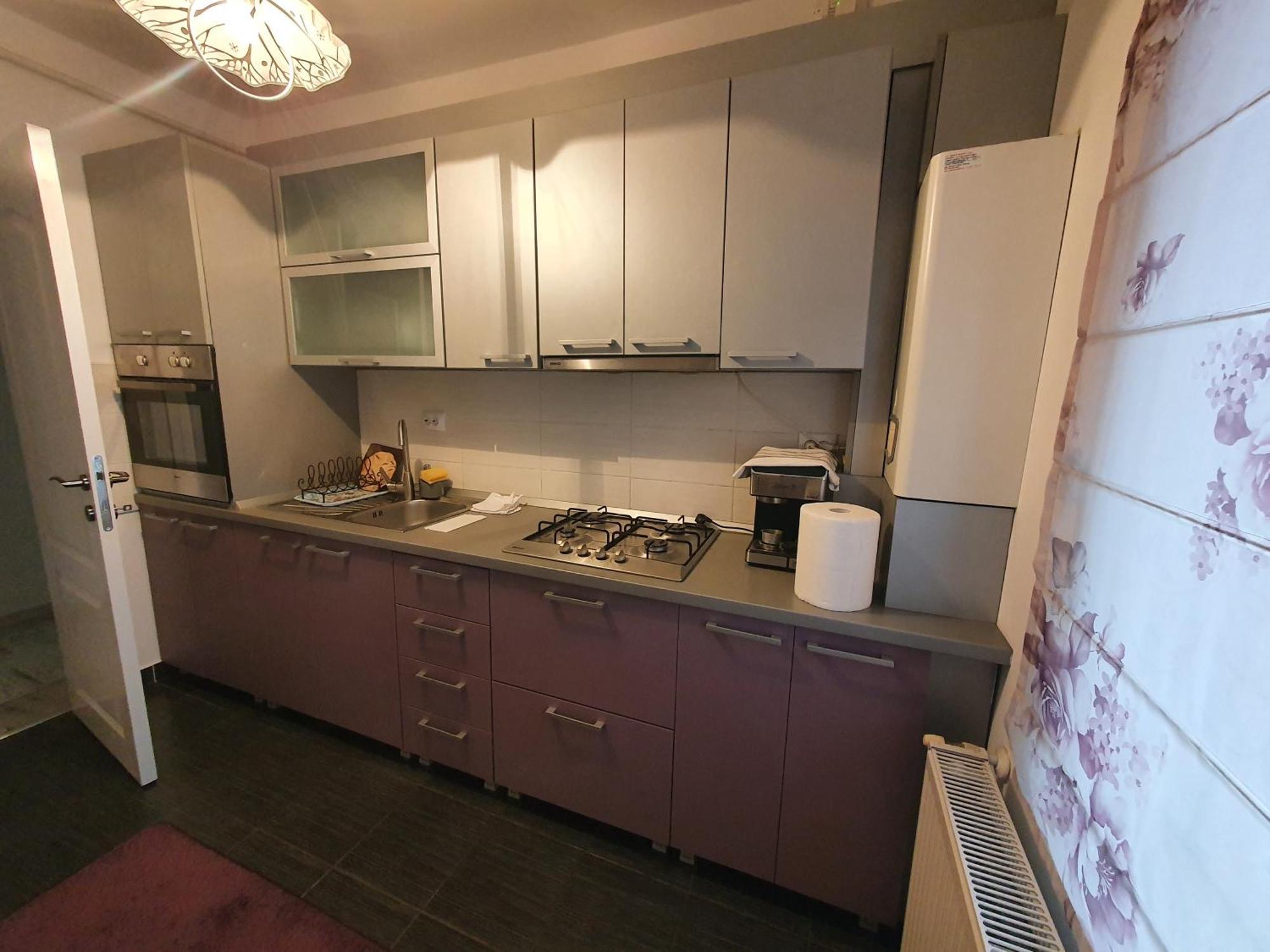Suceava Apartment Εξωτερικό φωτογραφία